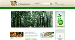 Desktop Screenshot of amef.org.br